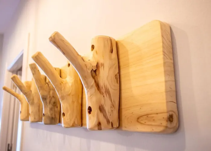 Trebol * 塞拉内华达